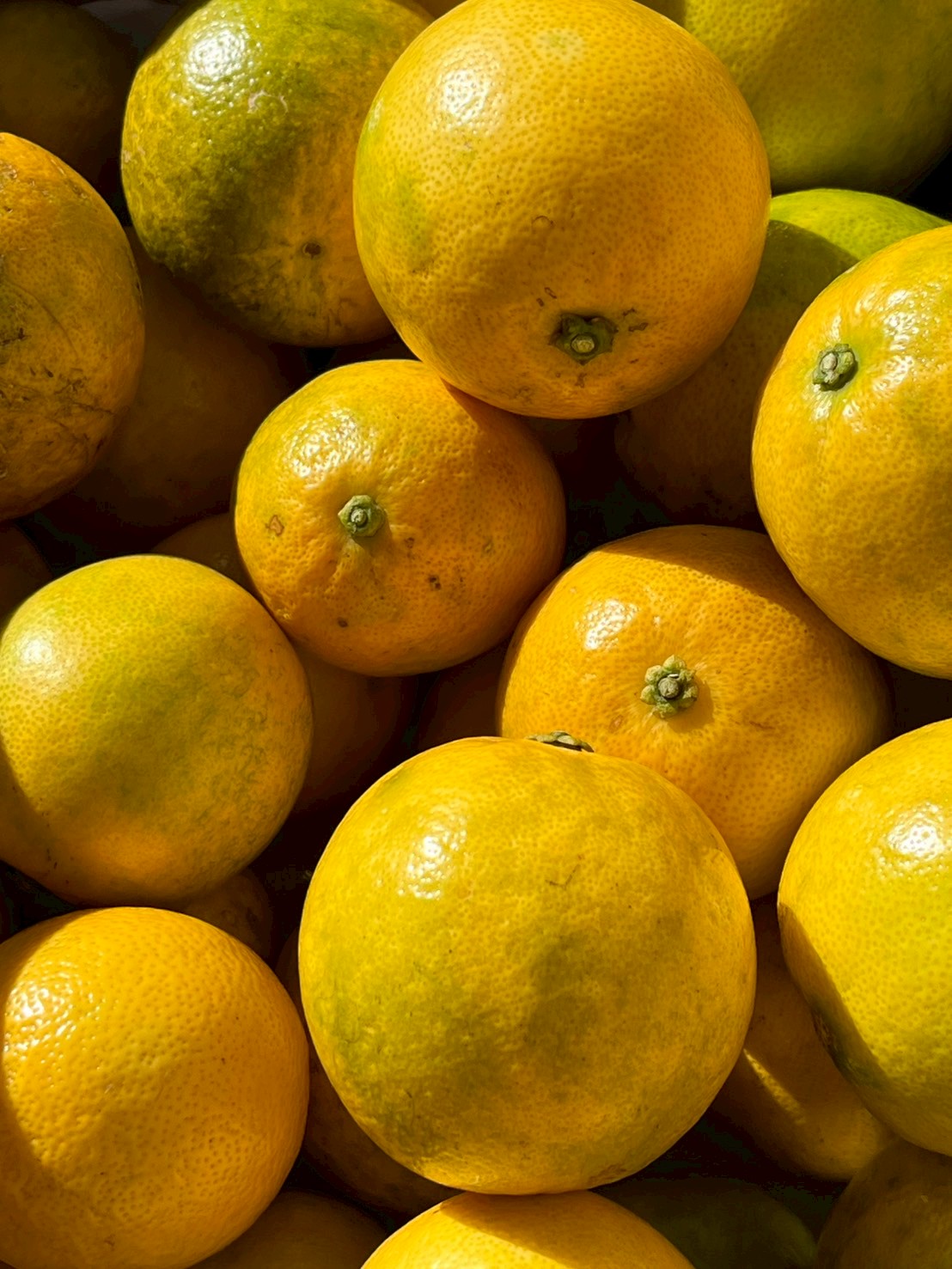 高円寺経済新聞記事